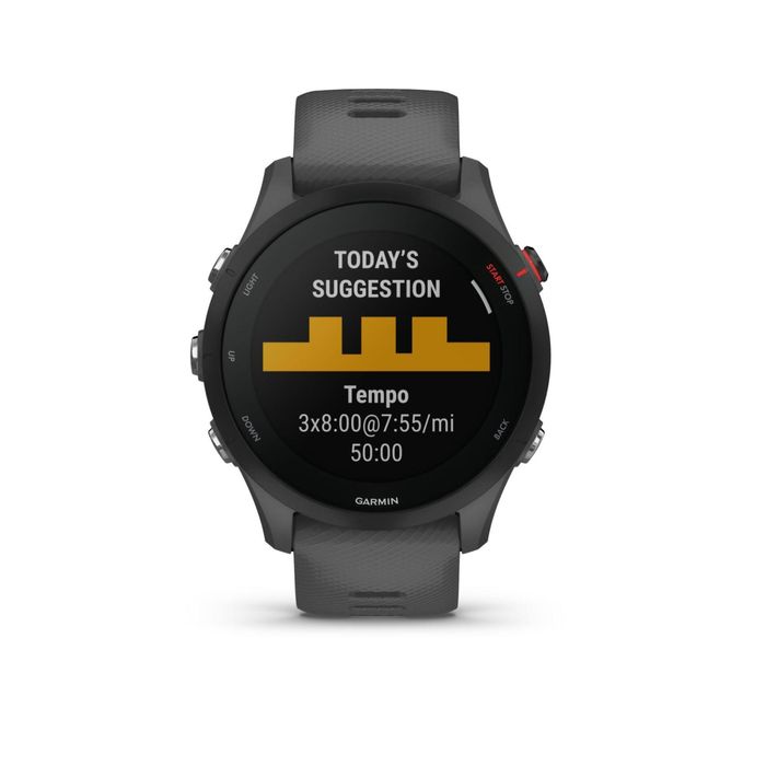 Smartwatch GPS Forerunner 255 Cinzento Ardósia