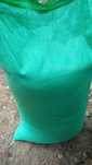 Sprzedam nasiona trawy