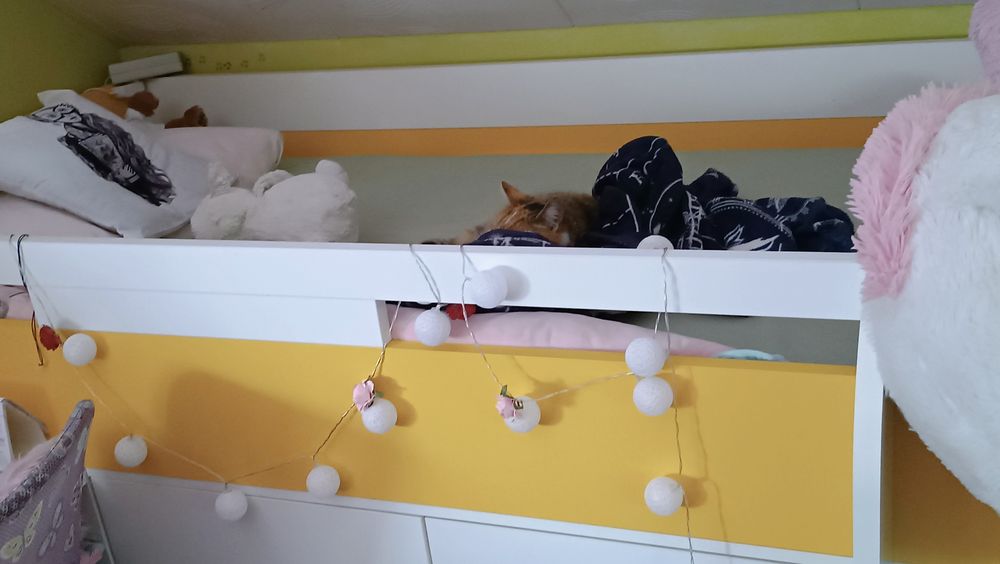 Wysokie łóżko z szafkami i wysuwanym biurkiem