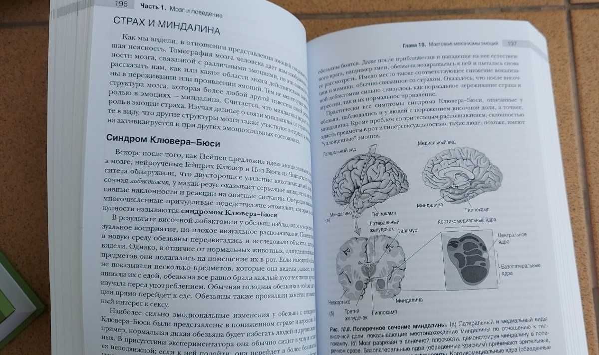 Марк Ф. Беар "Нейронауки. Исследование мозга", 3 тома, новые