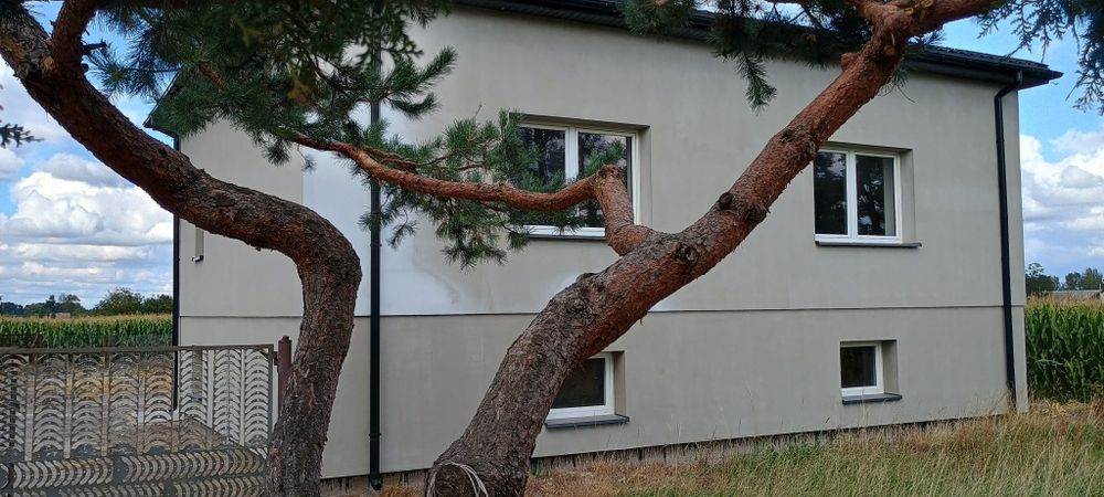 Kwatery pracownicze Bieniewo