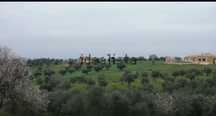 Terreno Santarem
