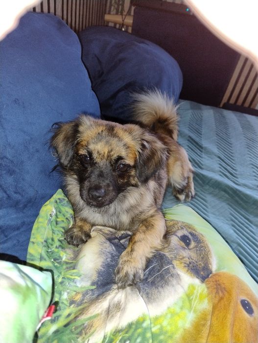 Zaginęła ‼️‼️‼️‼️‼️