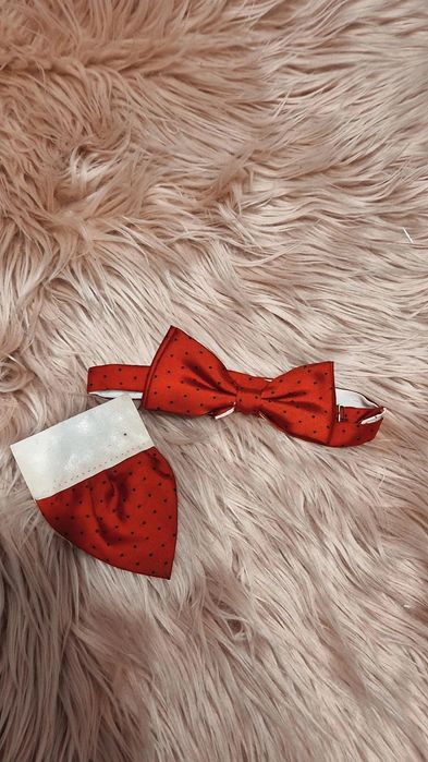 Muszka czerwona w kropki czarne świąteczna do garnituru z poszetka l