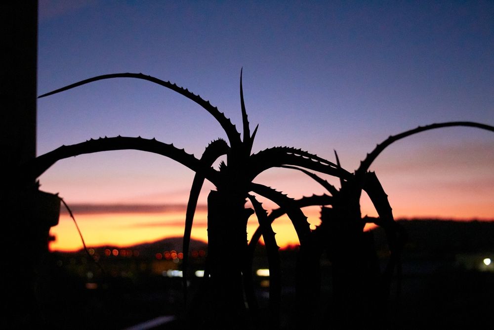 Quadros/Posters minimalistas - fotos originais para decoração