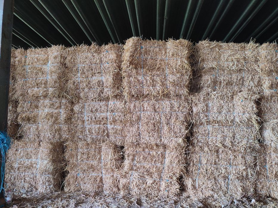 Vende-se Feno (fardos pequenos)