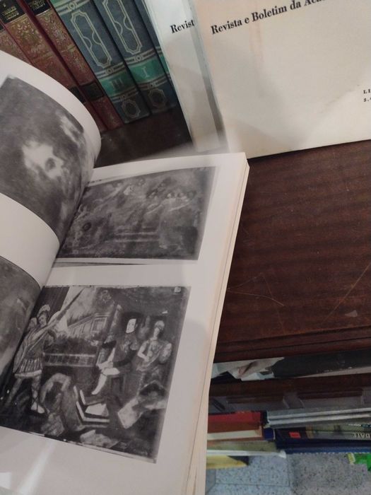 Belas Artes Revista e Boletim da Academia Nacional de Belas-Artes