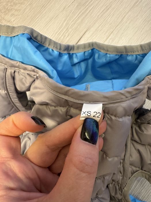 Комбінезон для маленькіх порід  xs