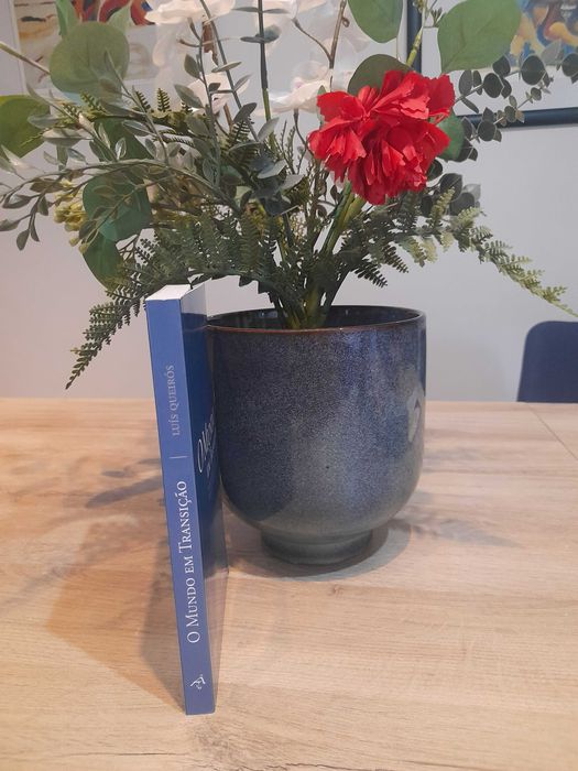 O Mundo em Transição