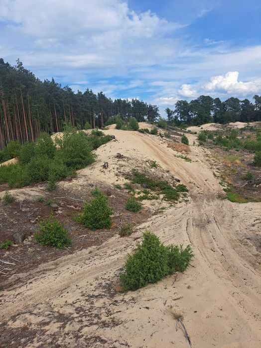 Kopalnia piachu. Działka rekreacyjna okolice Kazimierza Dolnego.