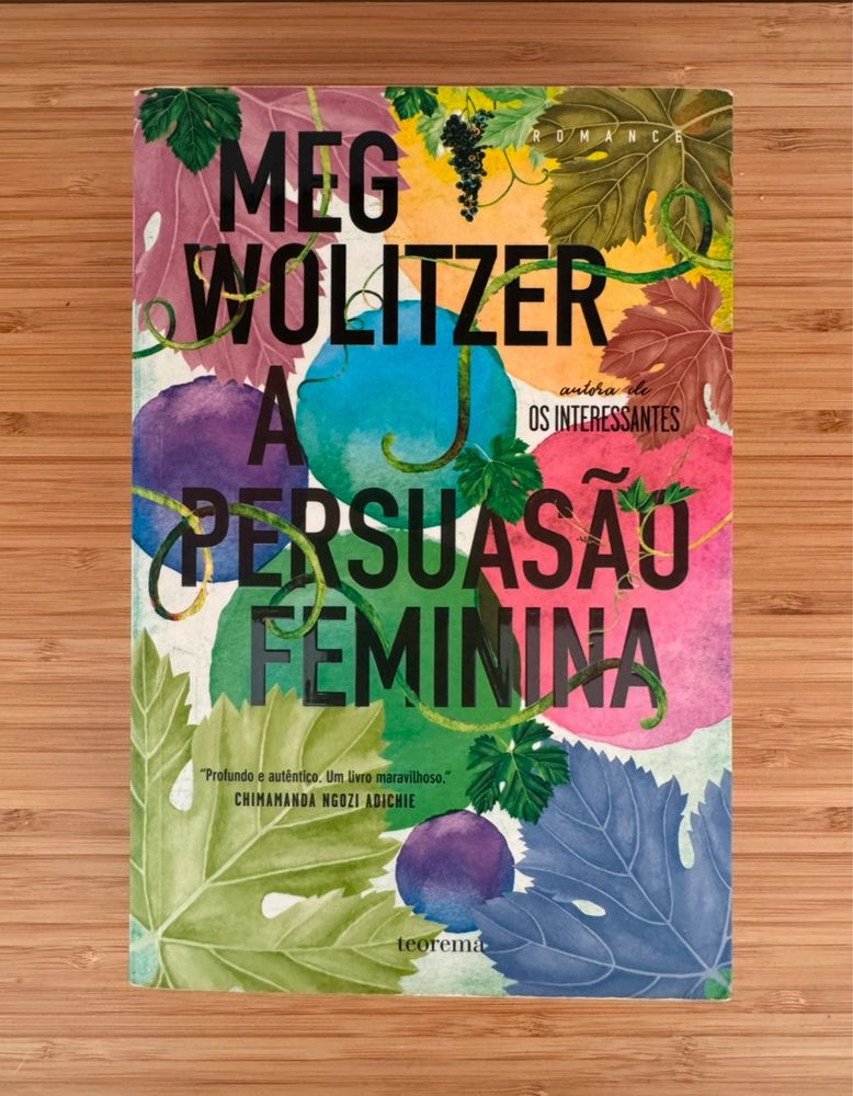 Livro “A Persusão Feminina” de Meg Wolitzer