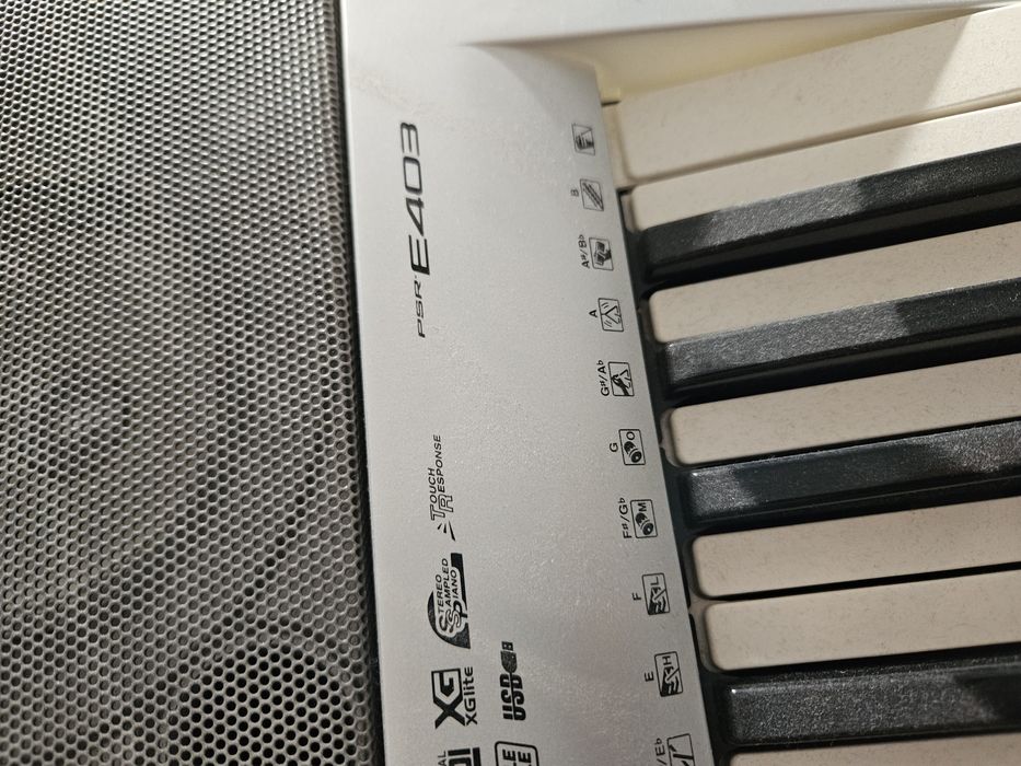 Vendo órgão em condições