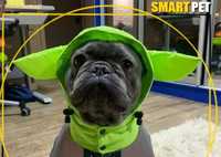 Комбинезон для собаки SmartPet Grogu