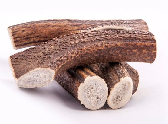 Gryzak z poroża naturalna zabawka dla psa kochającego żuć S Hard