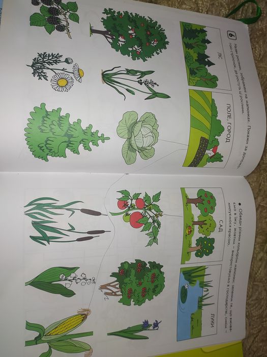 Робочий зошит "Навколишній світ"1 класс Росток, математика