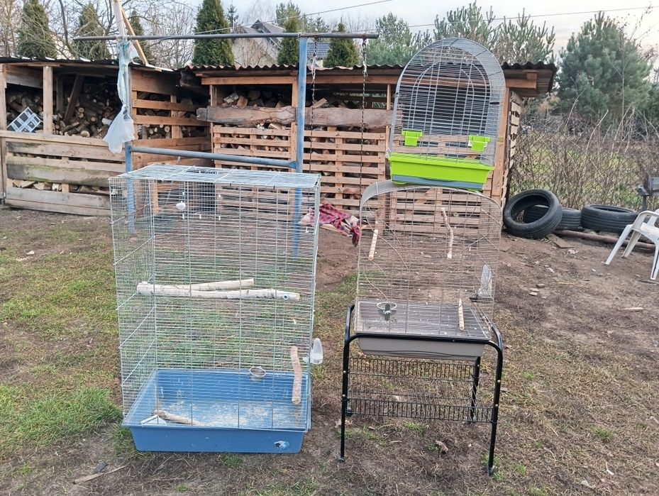 Klatki dla papug falistych