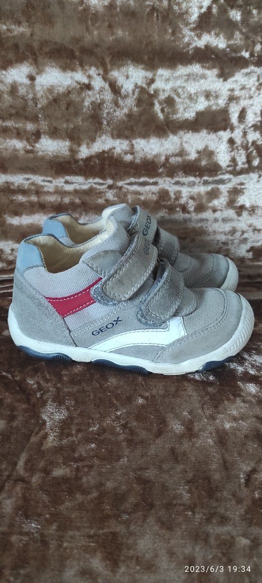 Geox adidasy 23  dla chłopca