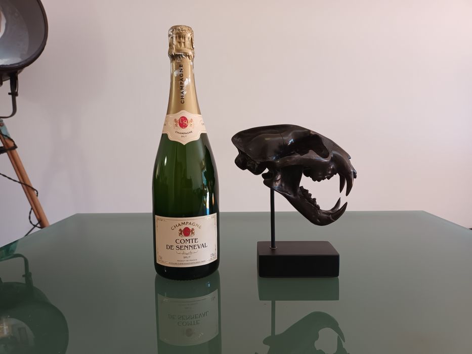 Escultura em Bronze patinado, de Crânio de Leopardo das Neves