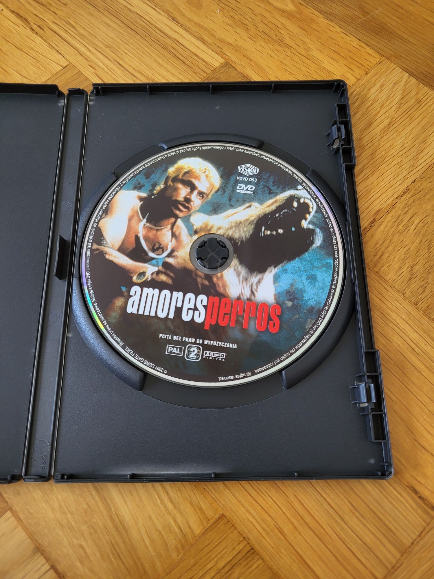 Amores perros na dvd