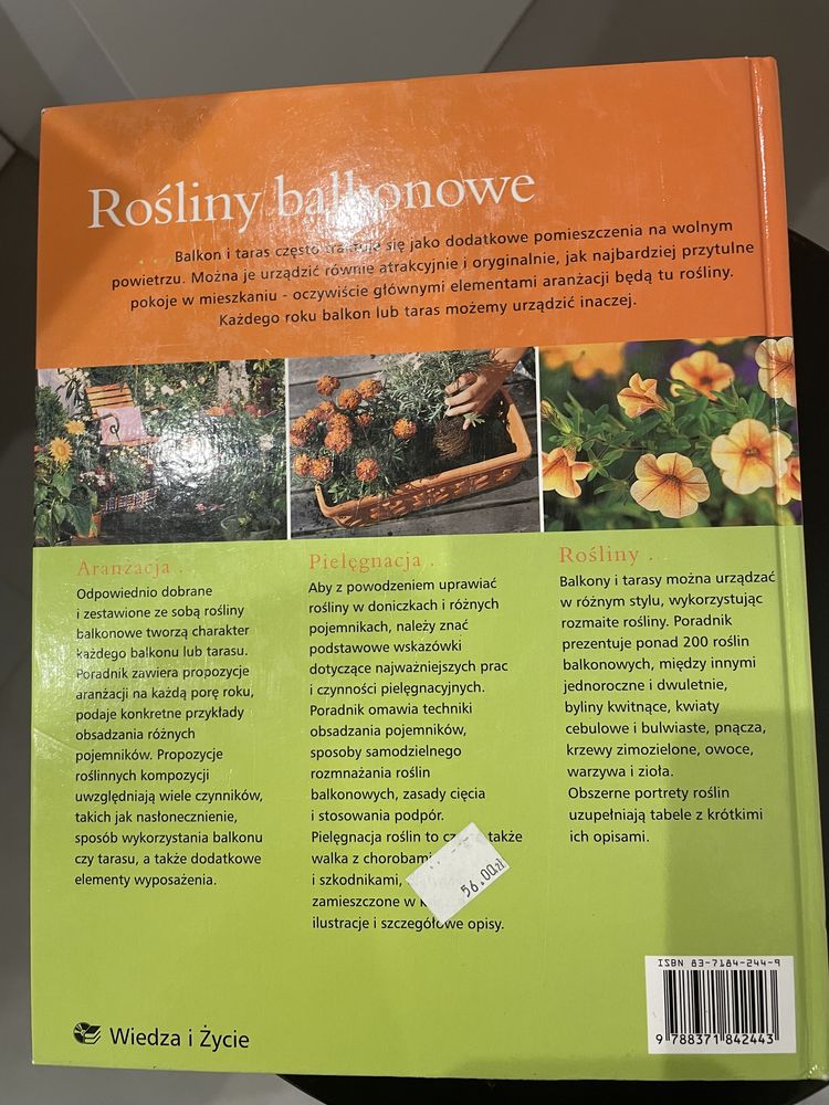 Książka Rośliny Balkonowe J. Mayer