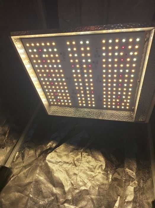Box do roślin i dodatki