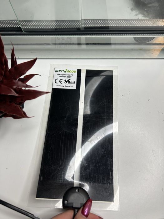 Terarium z dodatkami