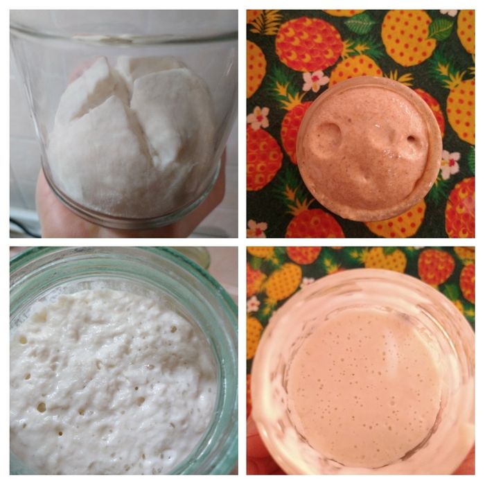 Закваска для выпечки хлеба,сдобы!Вечная!ЕСТЬ В СУХОМ ВИДЕ!Пересылаю