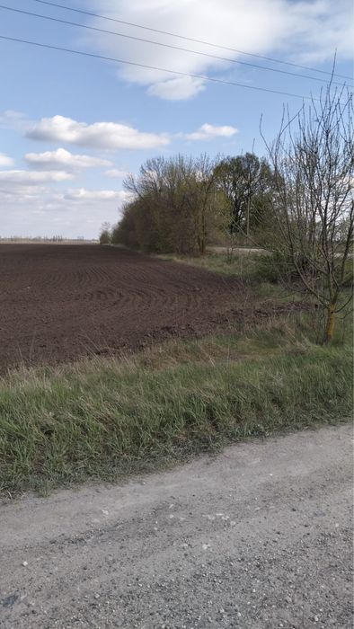 Ділянка 25га Обухівський р-н