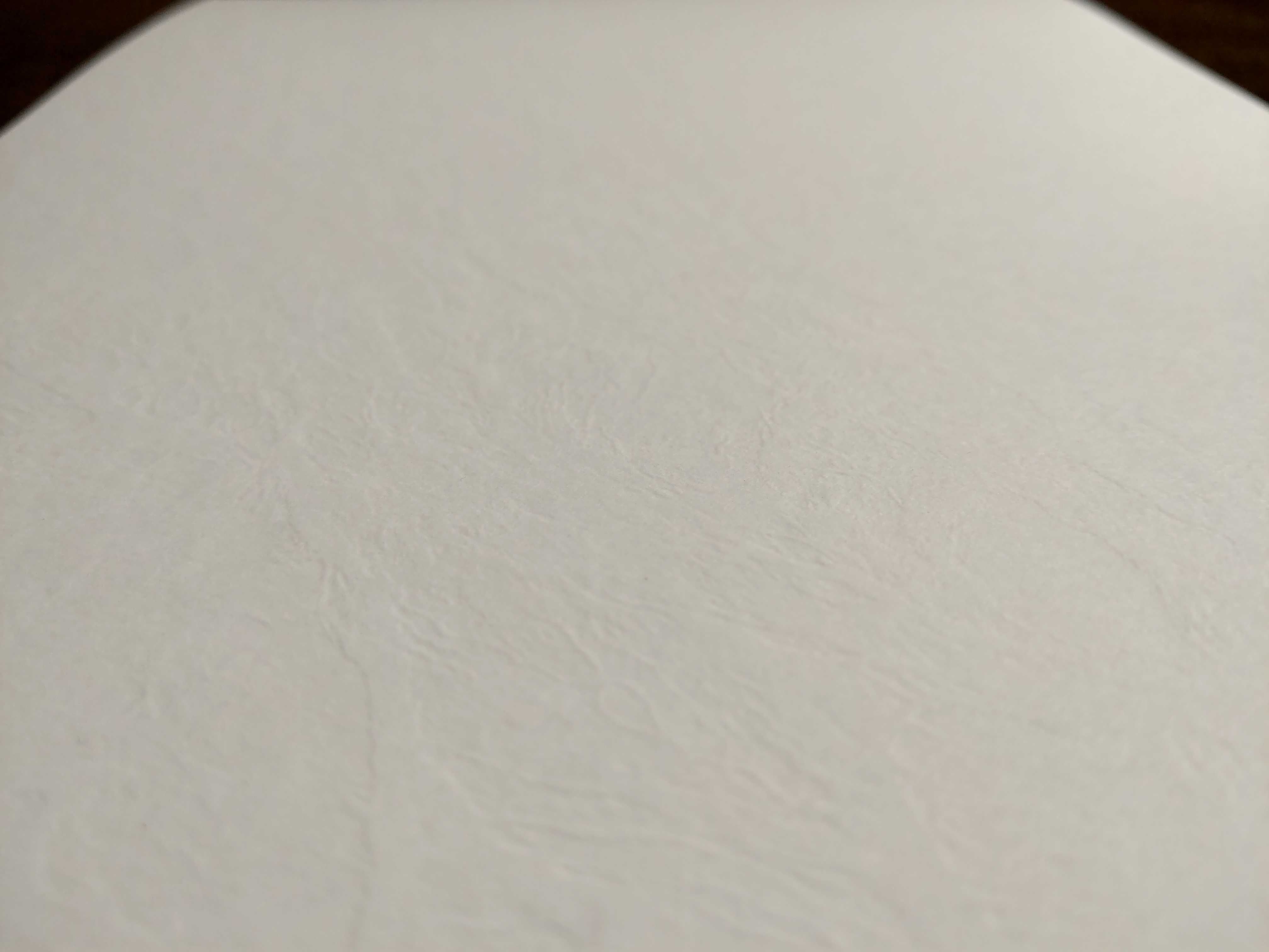 Papier ozdobny wizytówkowy Biały Skóra 36szt