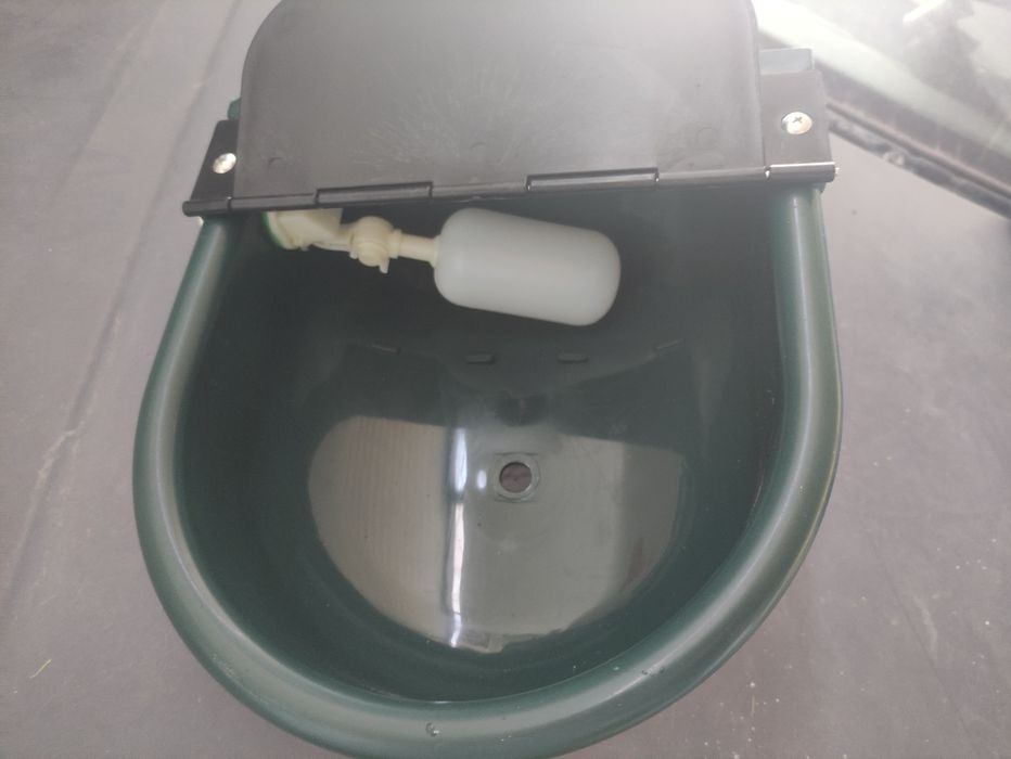 Bebedouro automático  animais