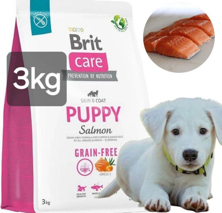 Brit Care Puppy 3kg + Gratis, Salmon Łosoś Szczenięta Pokarm Skin Coat