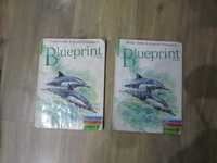 Blueprint two Brian Abbs Ingrid Freebairn