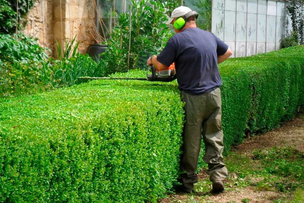 Jardinagem,Podas:Vinhas,Pomares,árvores fruto,Limpeza,Quintas,Terrenos