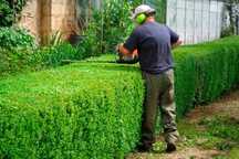 Manutençao/limpeza terrenos Jardins Pomares Casas Condominios Empresas