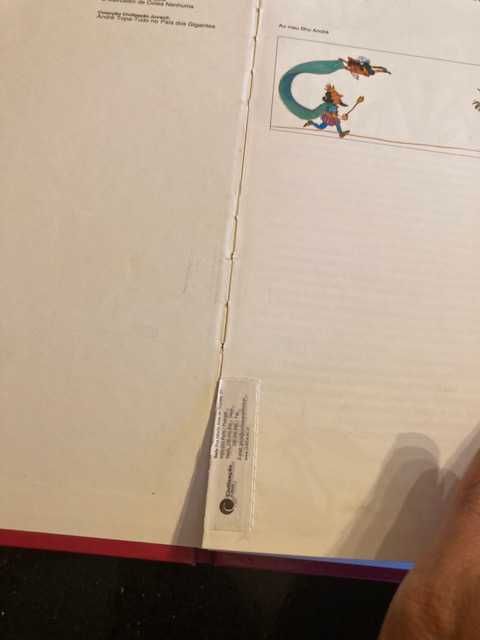 O pajem não se cala de António Torrado