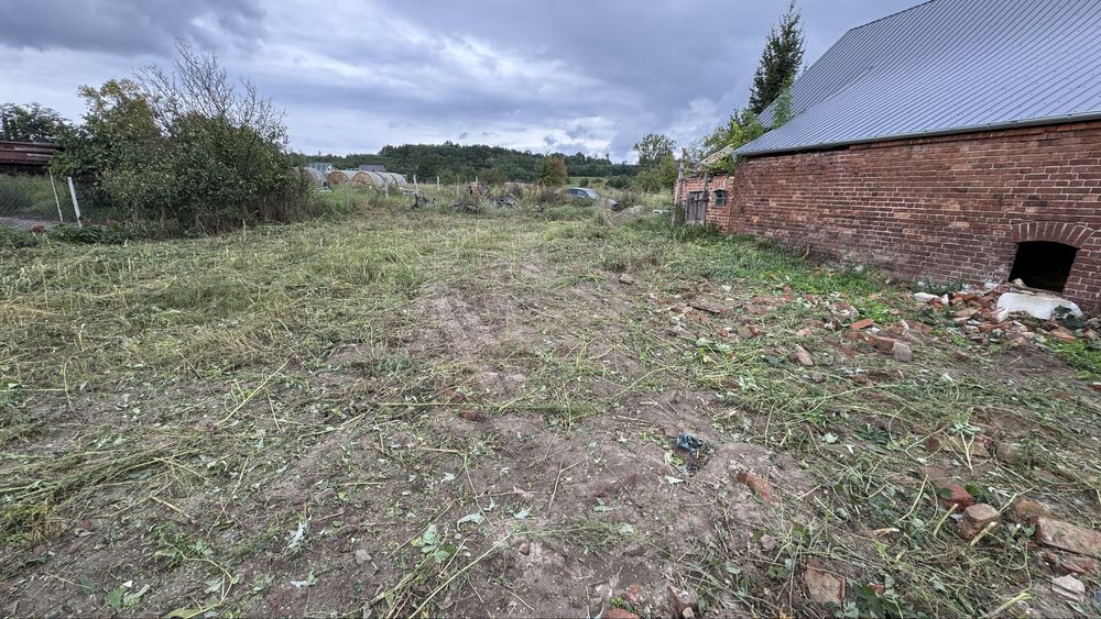 Wycinka Drzew Czyszczenie Działek