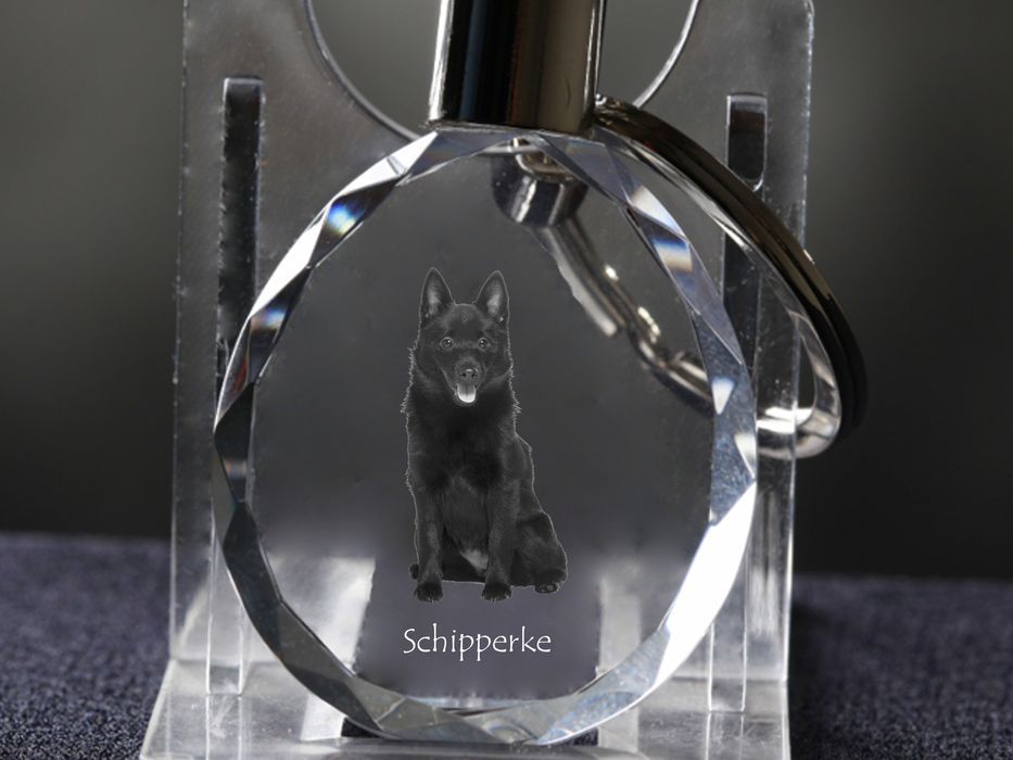 Schipperke brelok do kluczy owalny z koniem Art-Dog