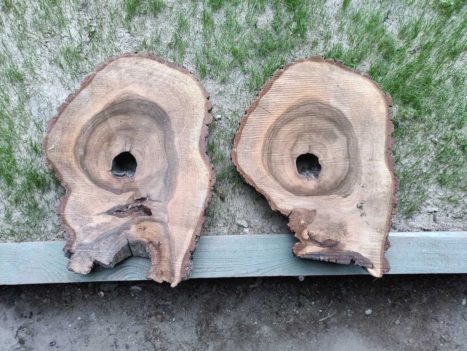 Plastry orzech wloski 7cm żywica stolik