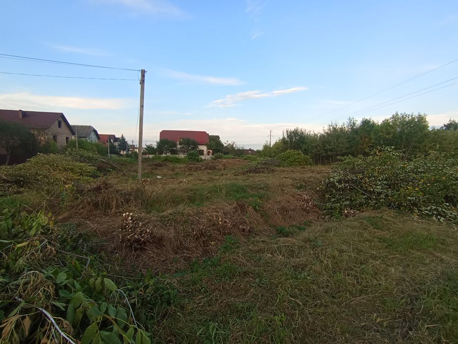 Чистка ділянок — швидко та якісно!