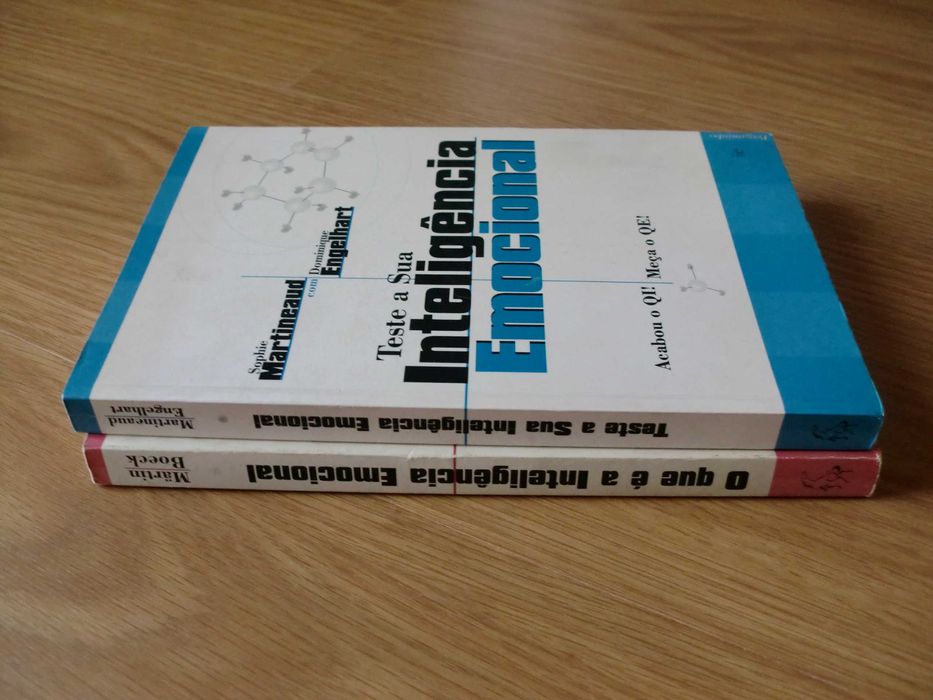 A Inteligência Emocional