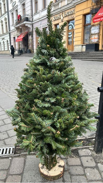 Новорічна жива ялинка плетена!!!