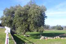 Terreno Aldeia Santa Margarida