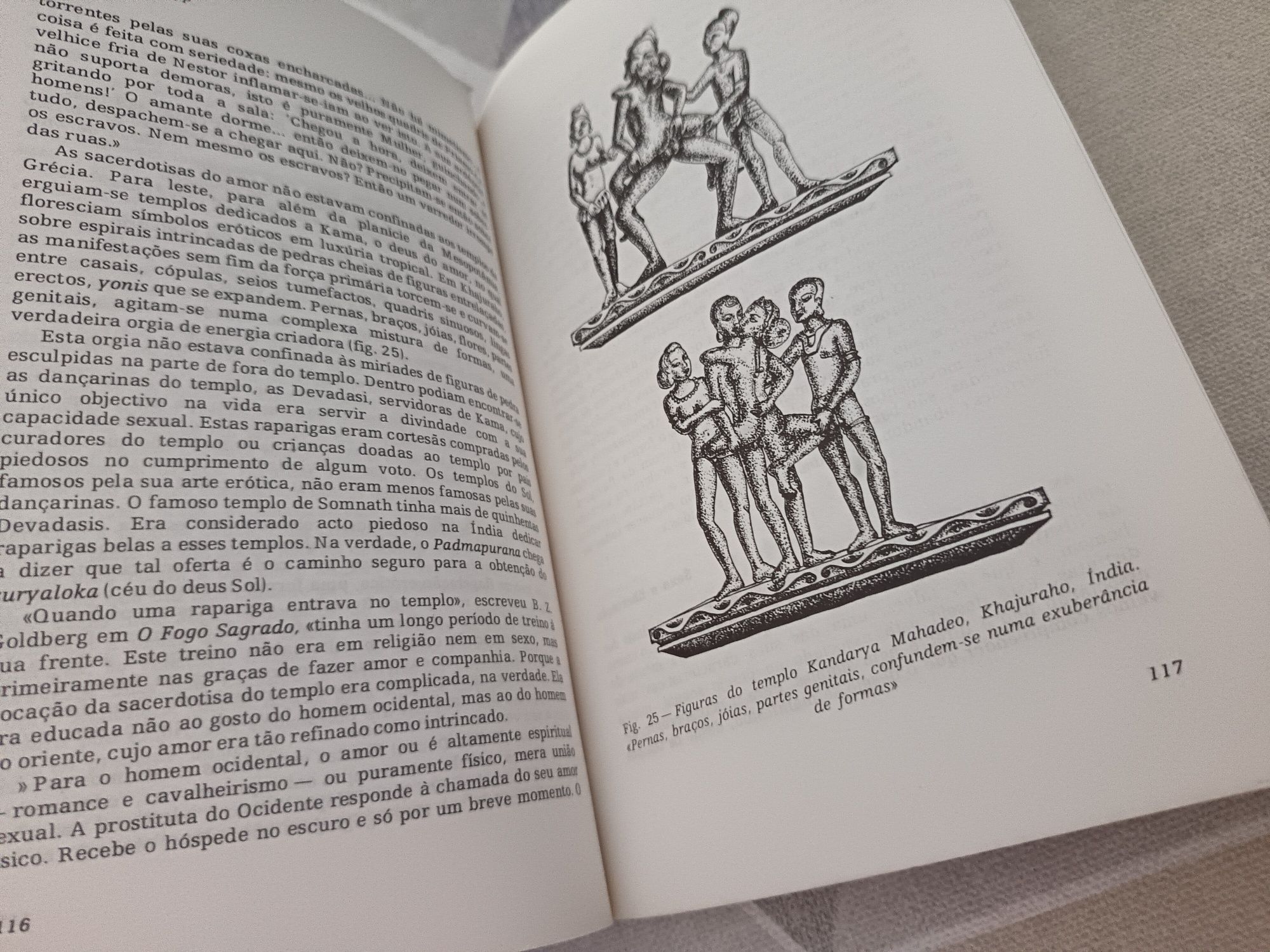 Livro "A Energia Sexual" | Robert S. de Ropp