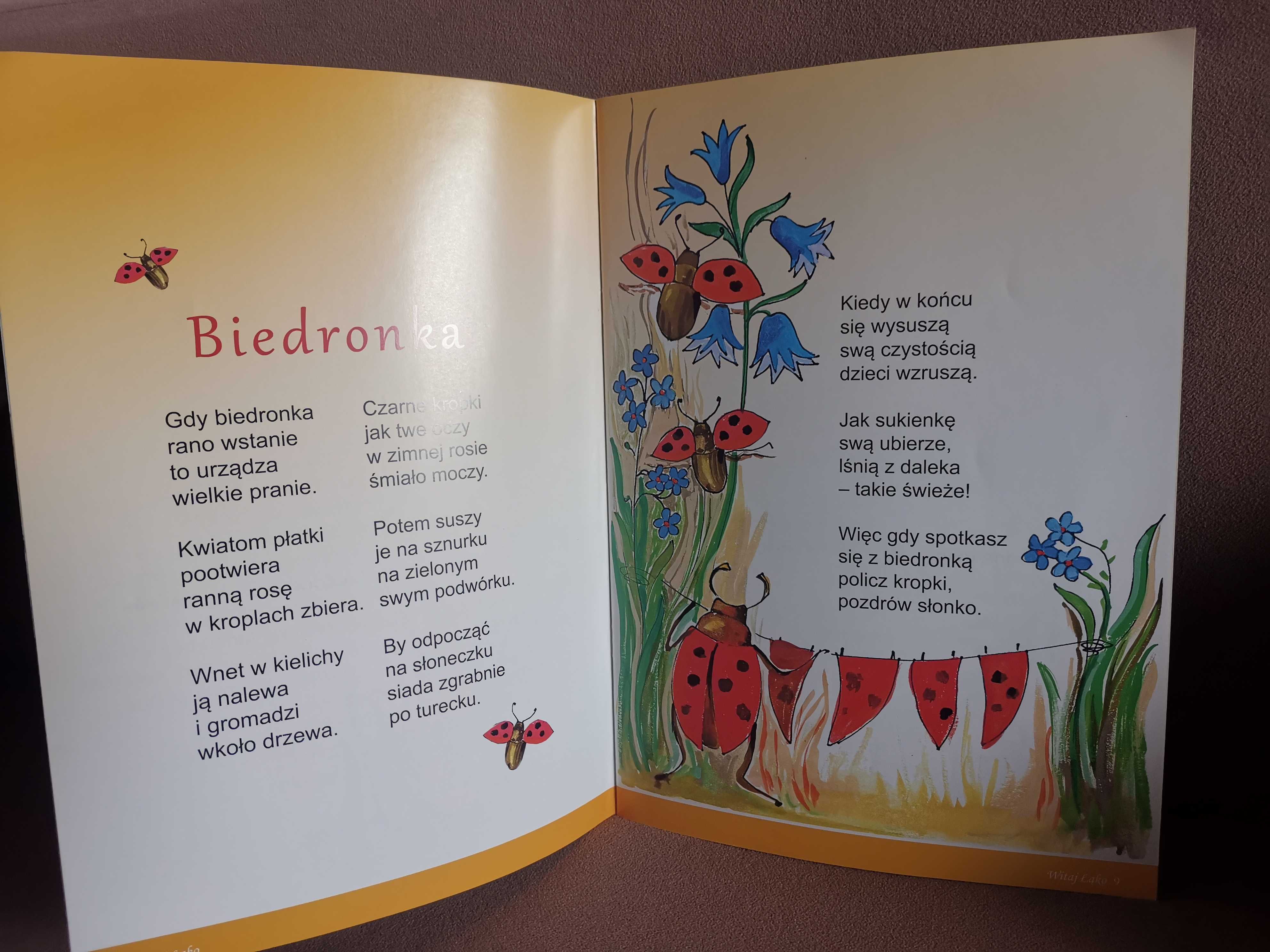 Witaj łąko Jolanta Karasińska, książka, książeczka dla dzieci