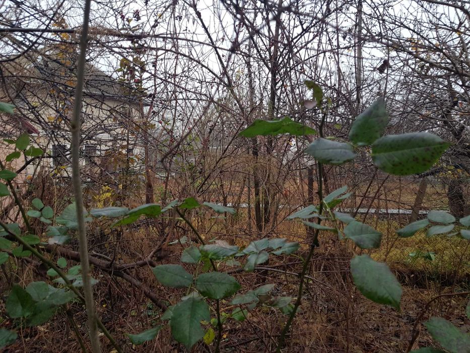 Продам дом с участком район Архитекторской/Отважных