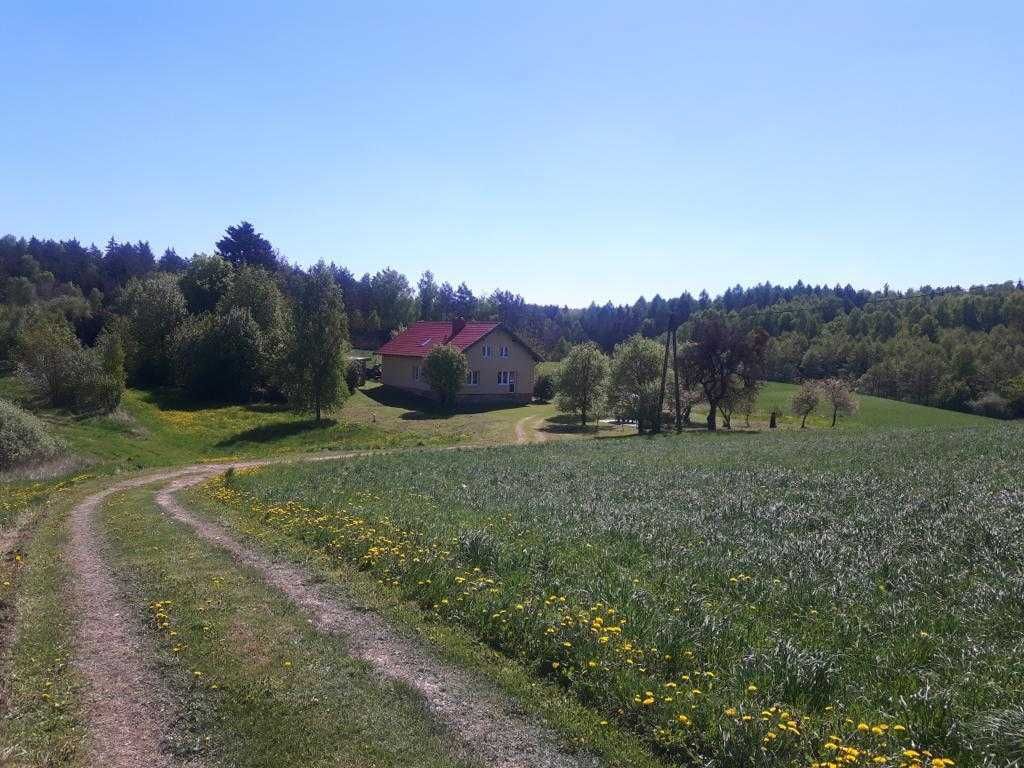 Warmia - dom do wynajęcia