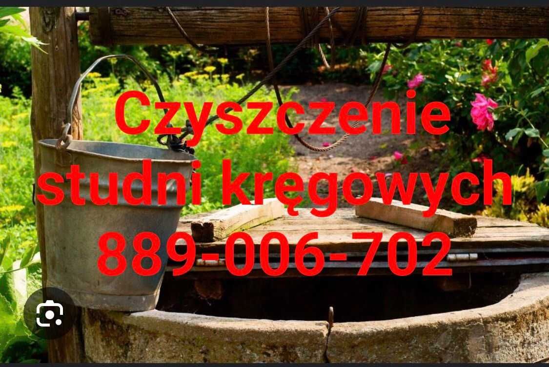 Czyszczenie studni kręgowych