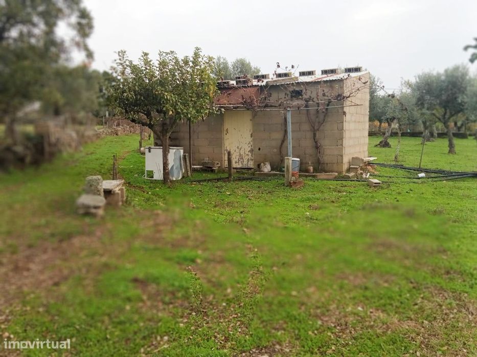 Quintinha