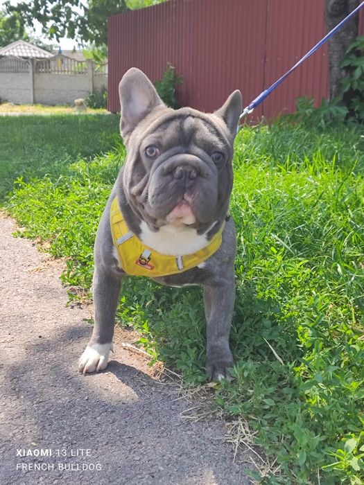 Хлопчик блакитний Биг Роп флаффі.