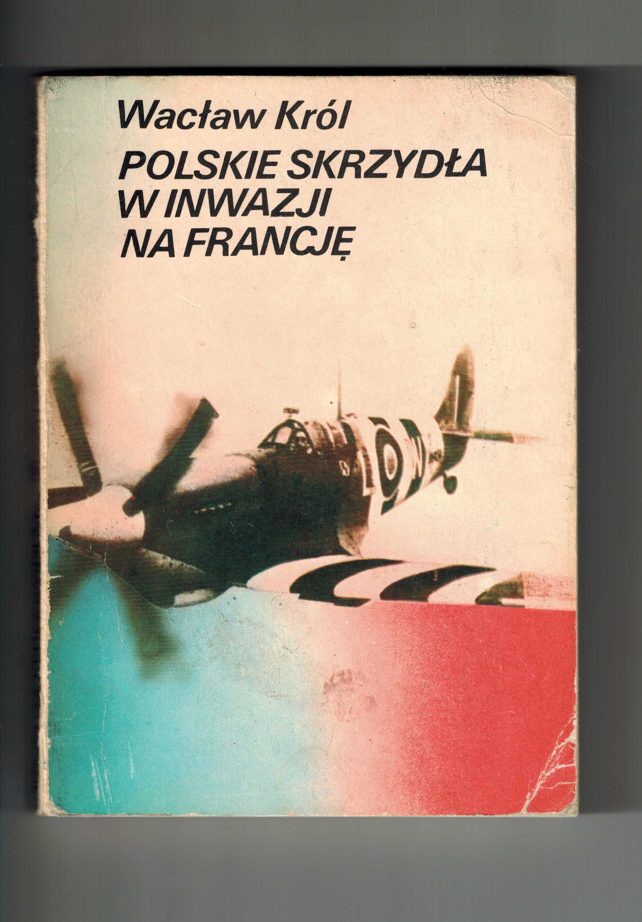 Polskie skrzydła w inwazji na Francję